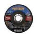 Диск лепестковый Procraft FZ125P100T29 UNIVERSAL FZ125P100T29 фото 2